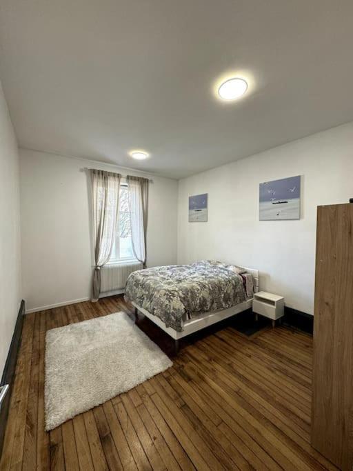 L Appart A La Gare Apartman Nancy Kültér fotó